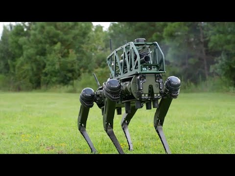 CODiAQ – The First Weaponized Robot Dog Unleashed | AI Combat Power of the Future