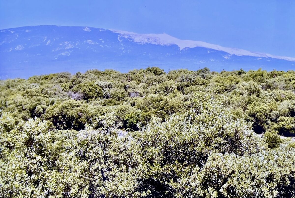 Tour de France /Mont Ventoux : côtoyer les dieux et philosopher