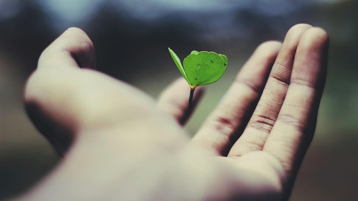 RSE en 2025 : les 10 tendances incontournables pour les entreprises