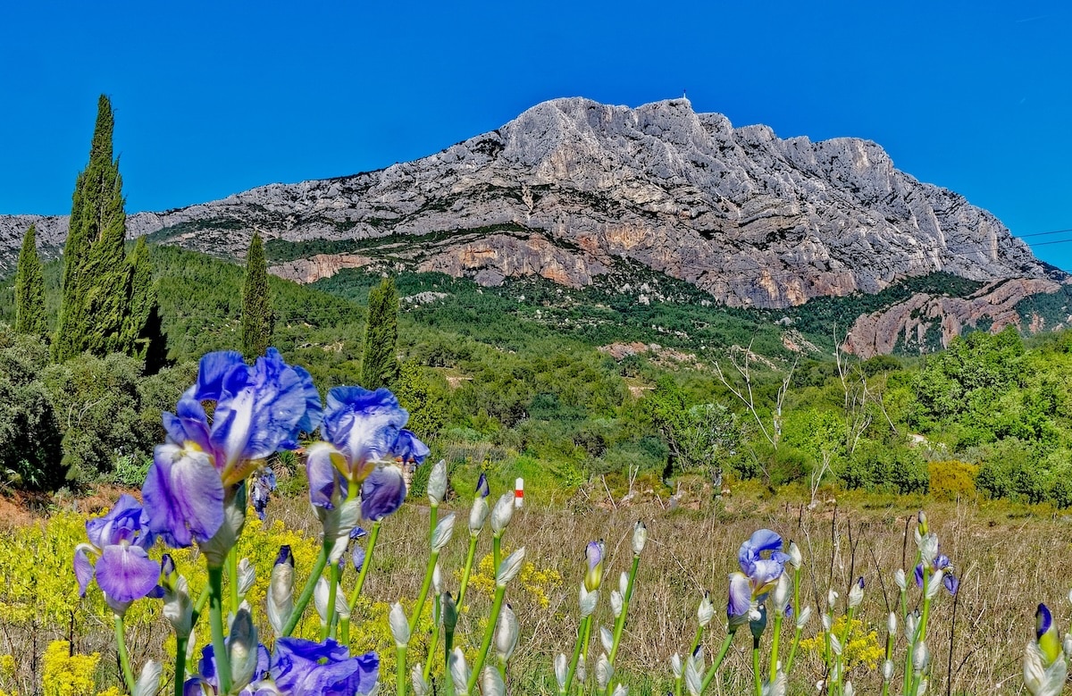 Tourisme : explorez les secrets de la montagne Sainte-Victoire