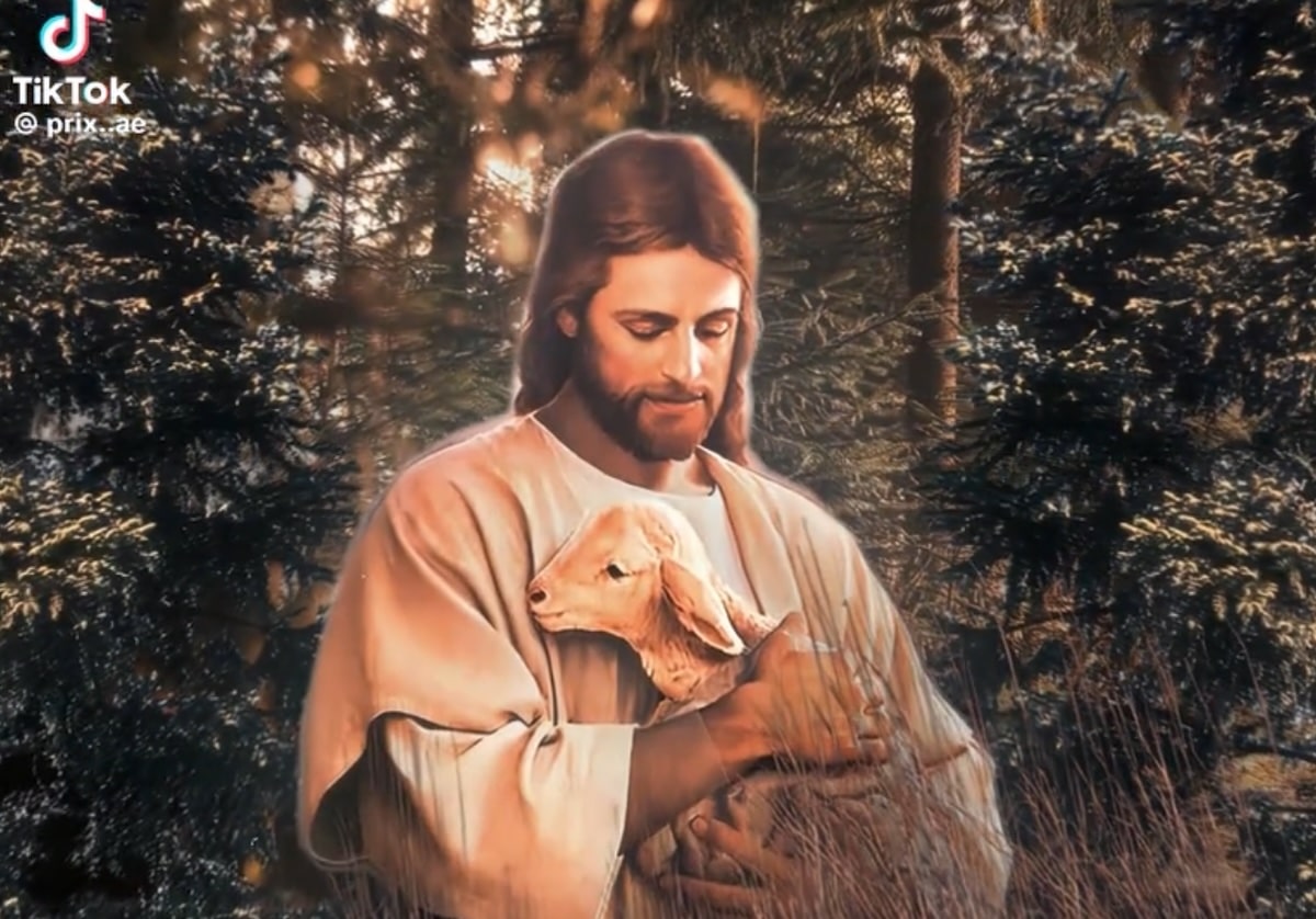 La Bible moquée sur TikTok et Instagram