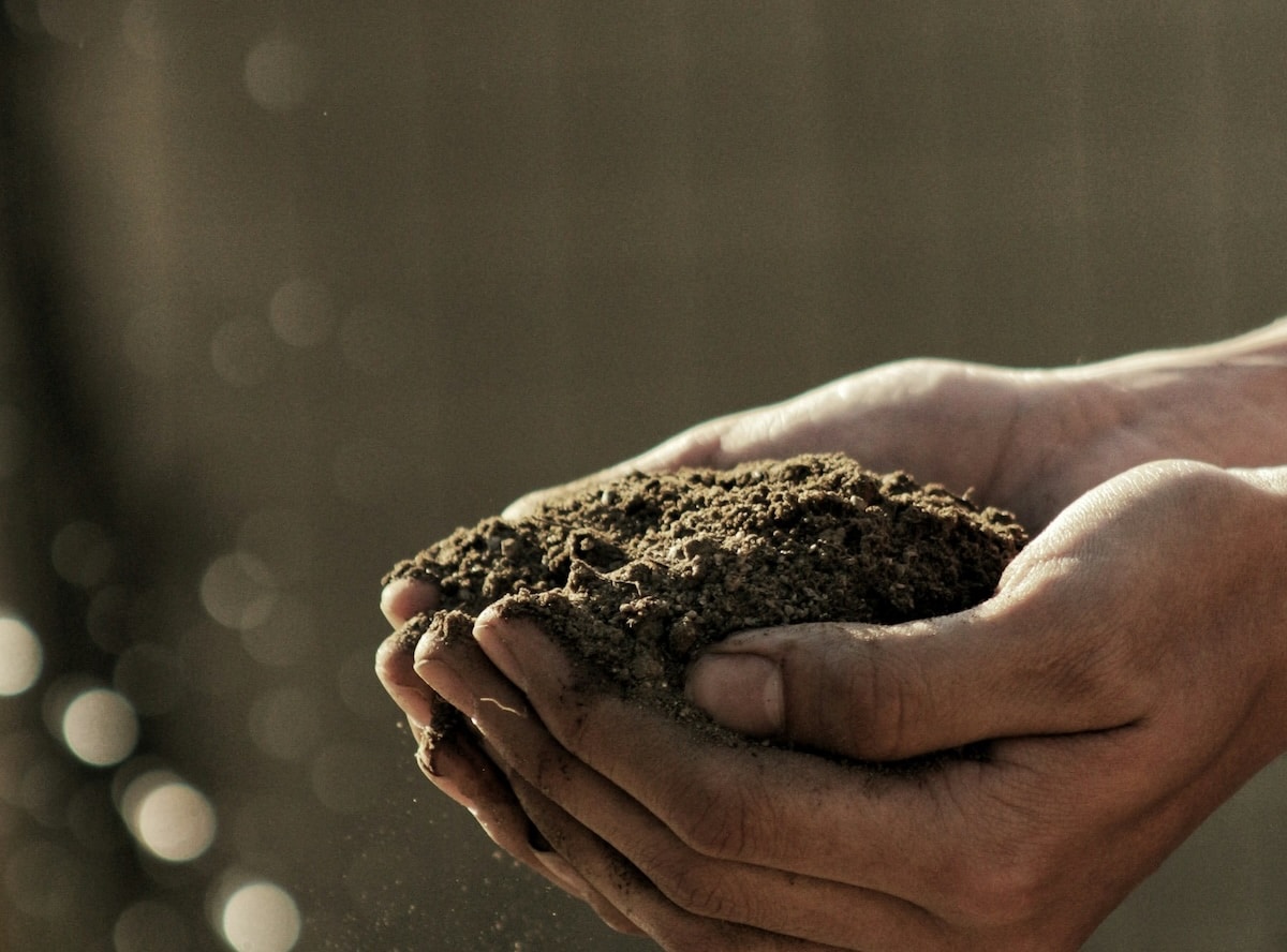 Le compostage humain, nouvelle tendance funéraire ?