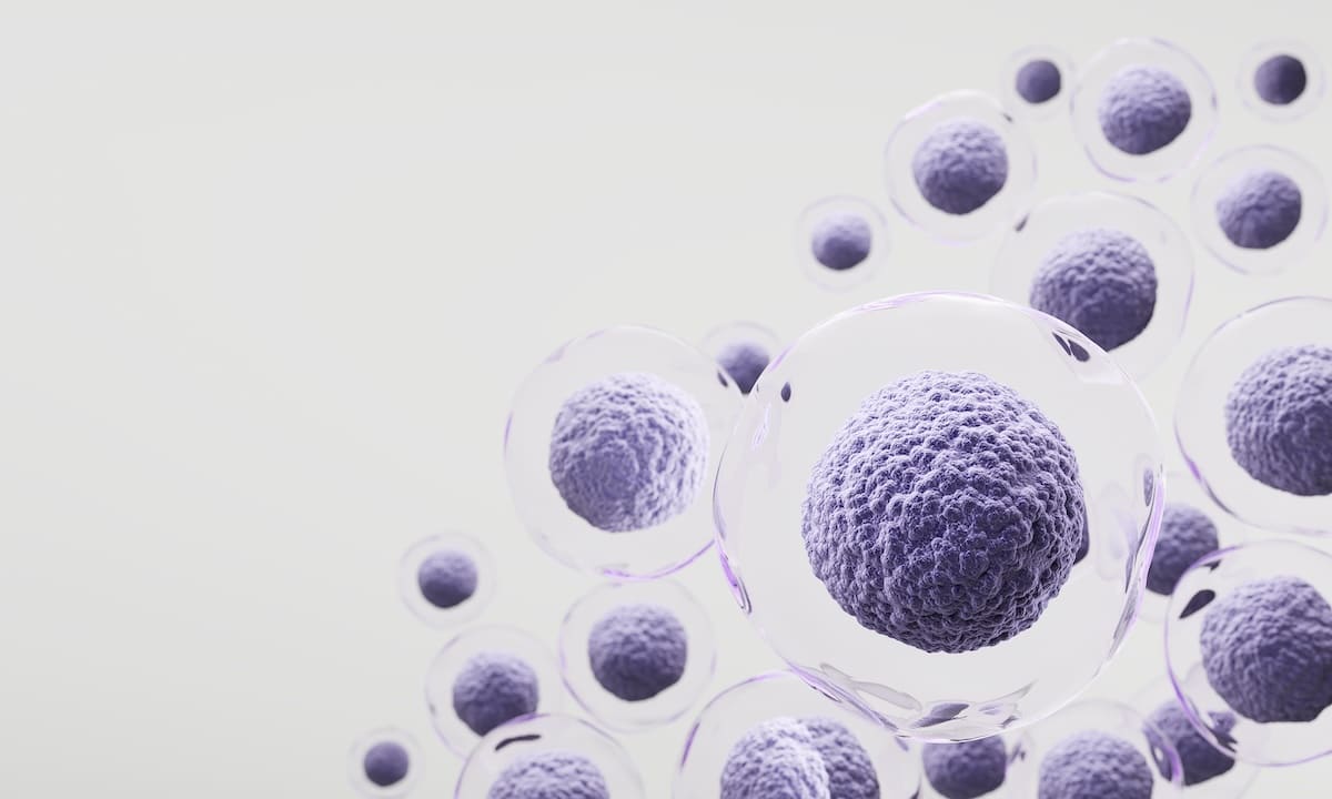 Strasbourg, nouvelle capitale de la lutte anti cancer