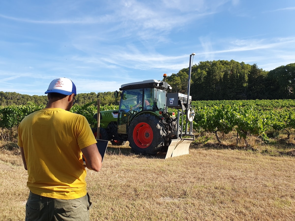 Reprendre un domaine viticole : quand la reconversion devient un projet entrepreneurial